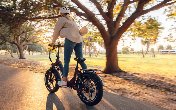 Fat tire electric bicycle bike in the park